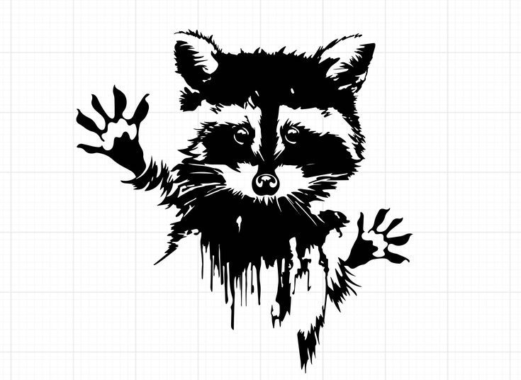 What Is the Raccoon Aesthetic?