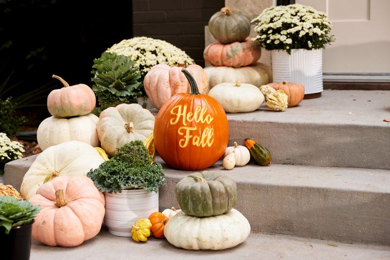 10 Creative fall decoration ideas with plant pots
