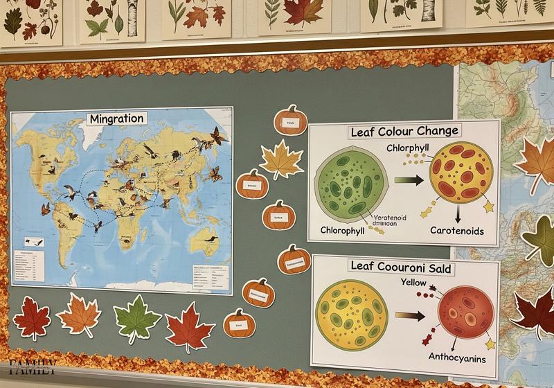 Fall Wall Decor for Classroom Ideas 10